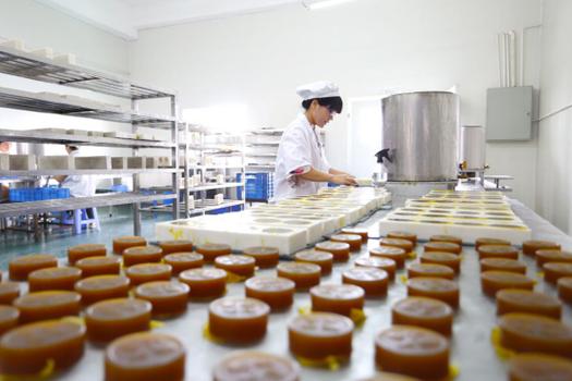 公司注册资金1000万,是以生物制品,化妆品及日常用品等项目研发,生产